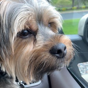 Meet your Posher, Jackie